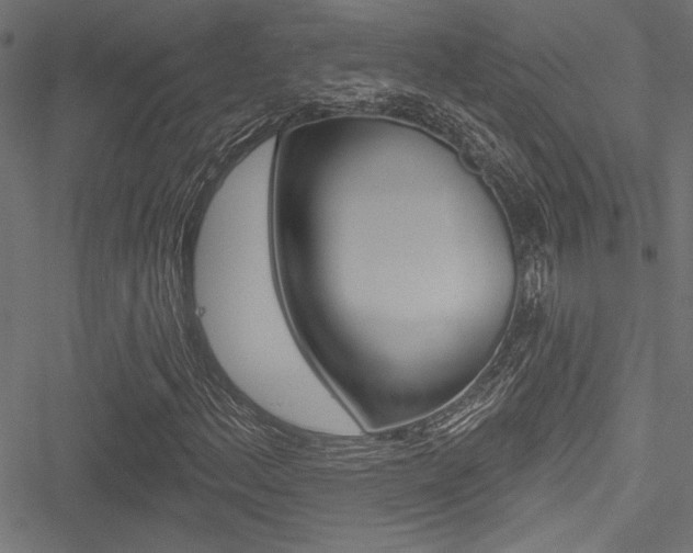 X0000051261156200506170809