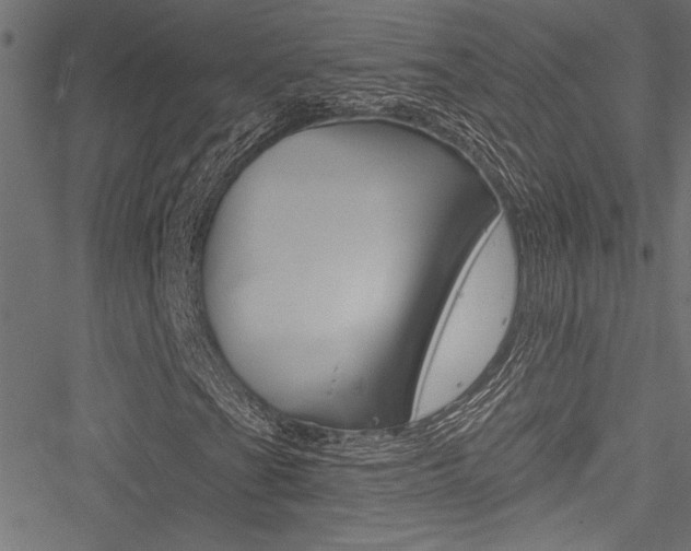 X0000051261201200506170807