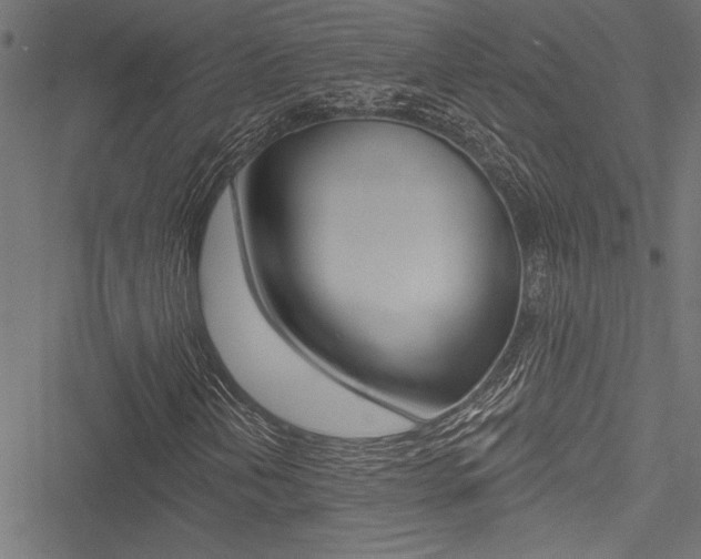 X0000051261202200506170807