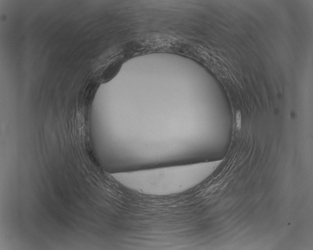 X0000051261203200506170807
