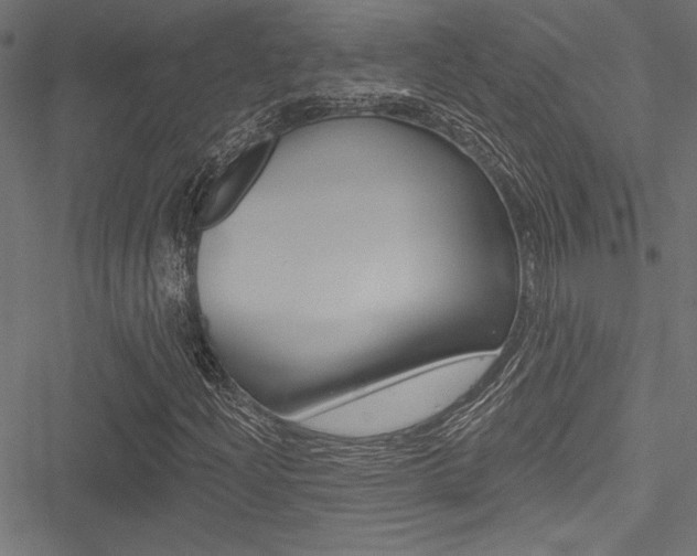 X0000051261204200506170807