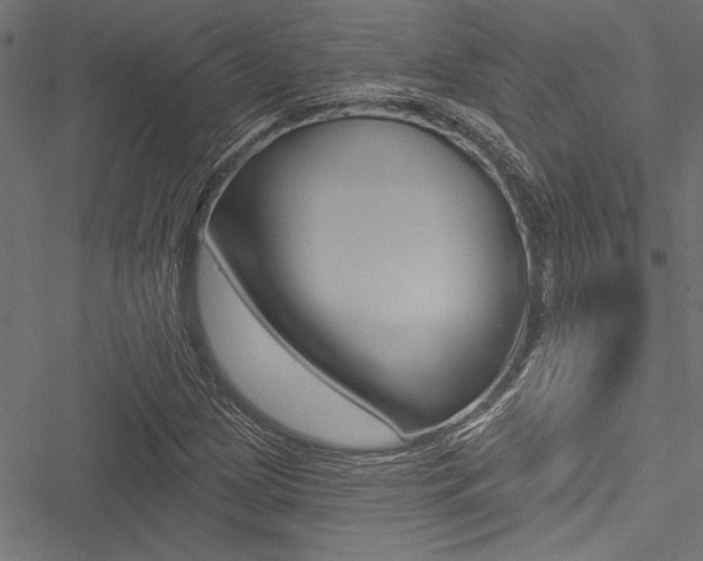 X0000051261209200506170808