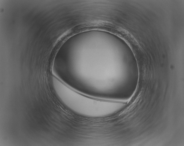 X0000051261210200506170808