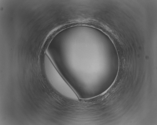 X0000051261214200506170808