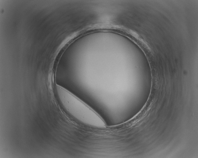 X0000051261221200506170808