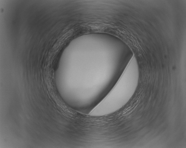 X0000051261249200506170807