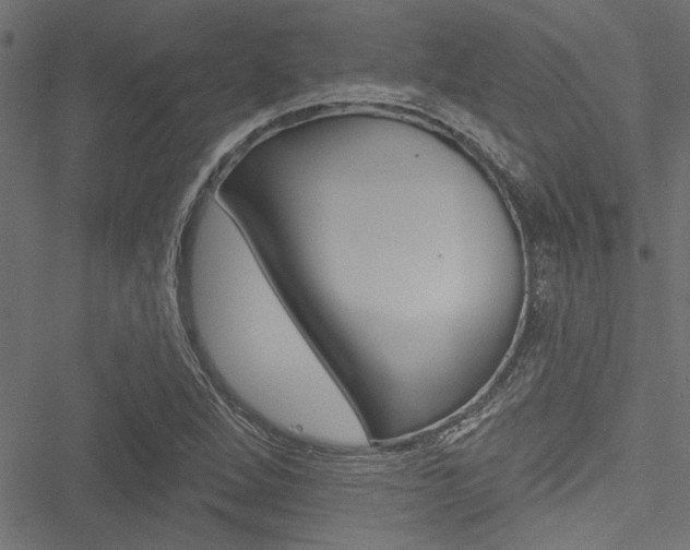 X0000051261264200506170807