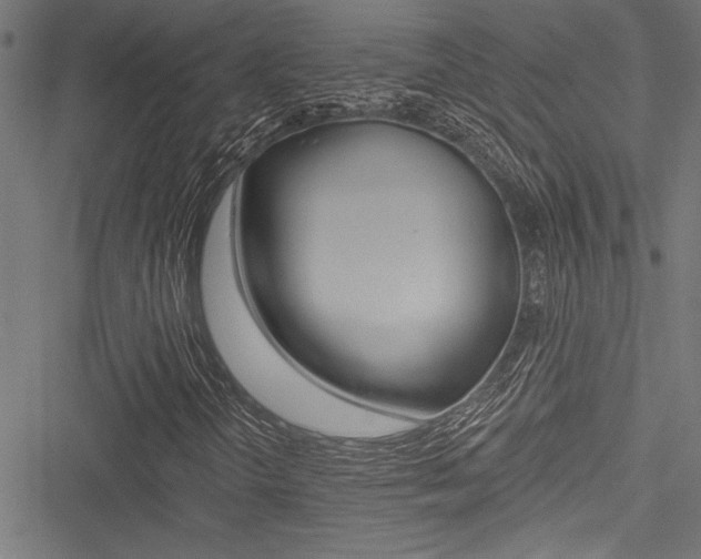 X0000051261298200506170806