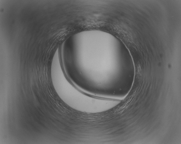 X0000051261300200506170806