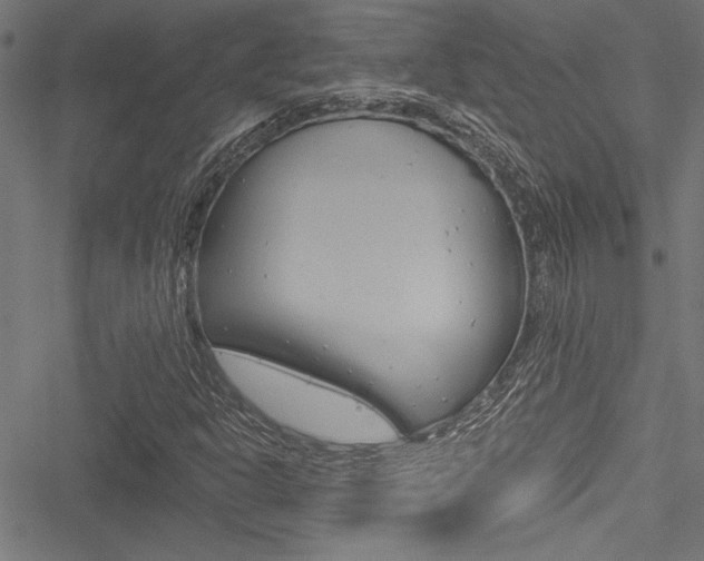 X0000051261302200506170806