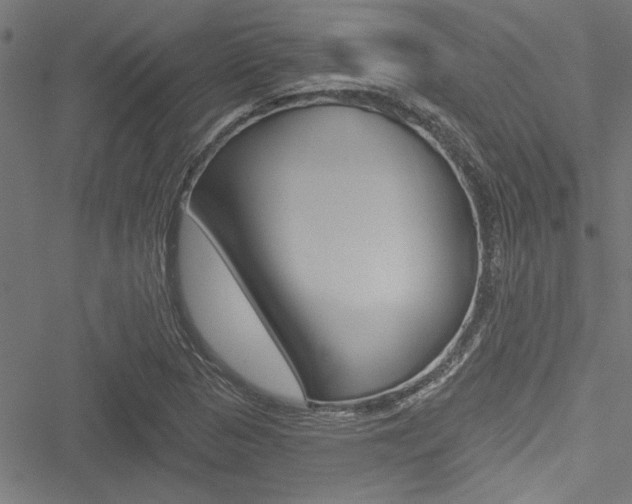 X0000051261313200506170806