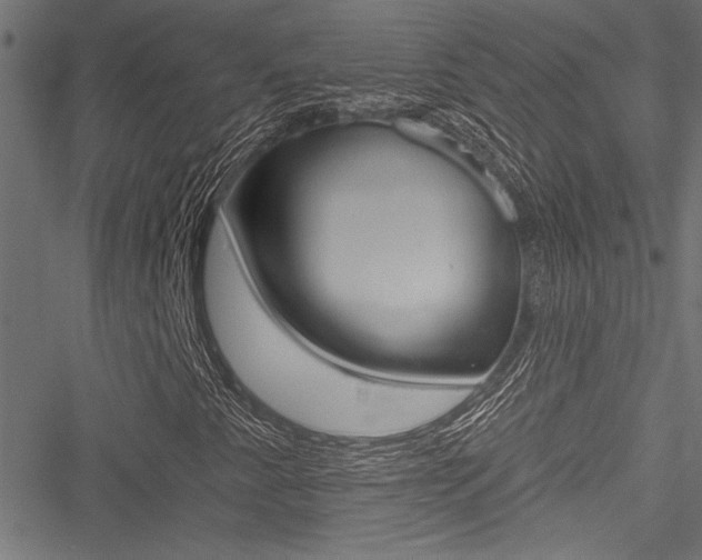 X0000051261345200506170806