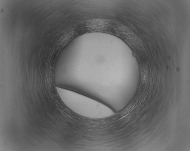 X0000051261346200506170806