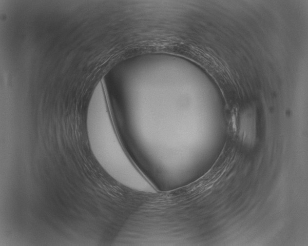 X0000051261347200506170806