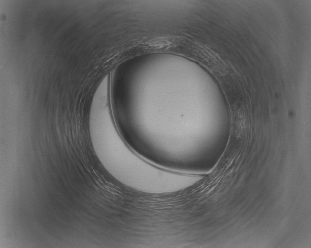 X0000051261394200506170804