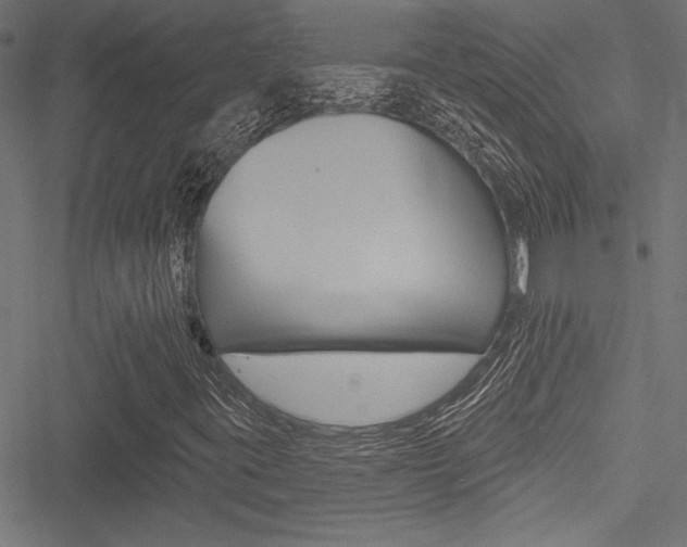 X0000051261395200506170804
