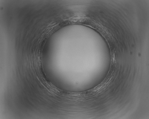 X0000051261396200506170804