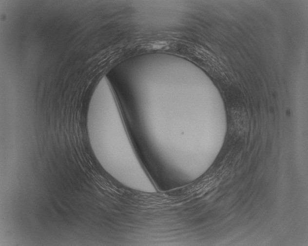 X0000051261442200506170804