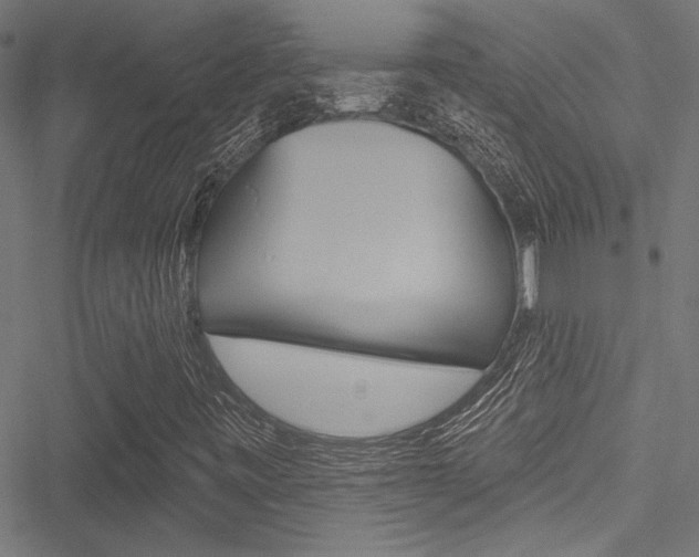 X0000051261443200506170804