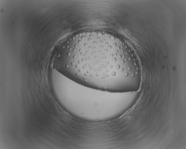 X0000051261451200506170804
