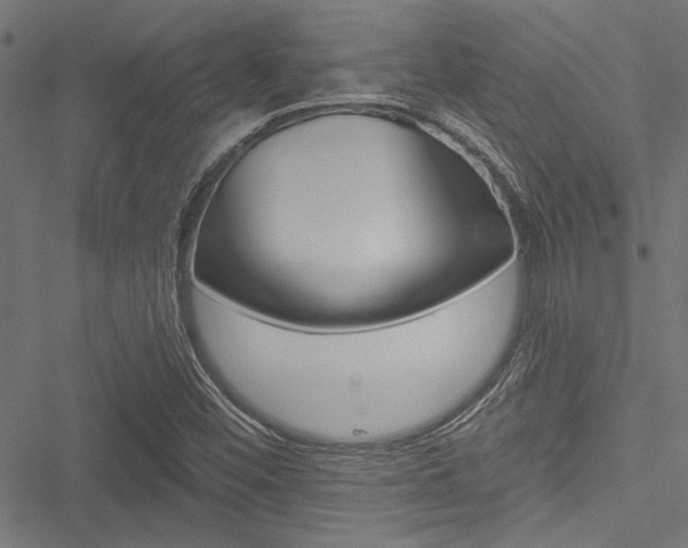 X0000051261452200506170804