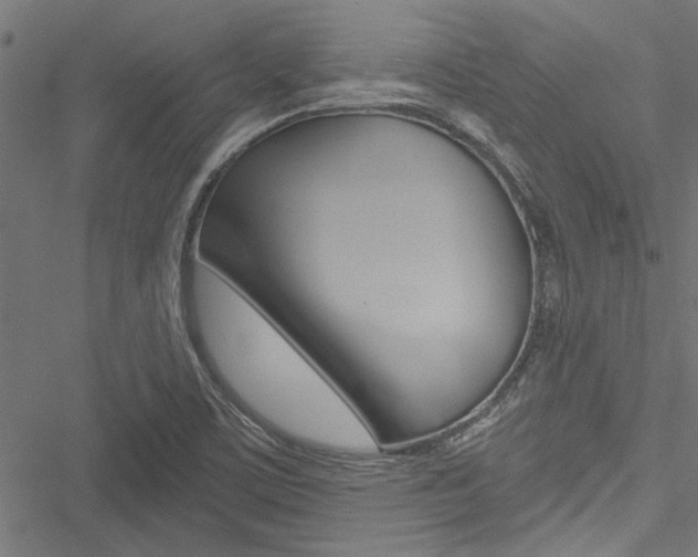 X0000051261459200506170804