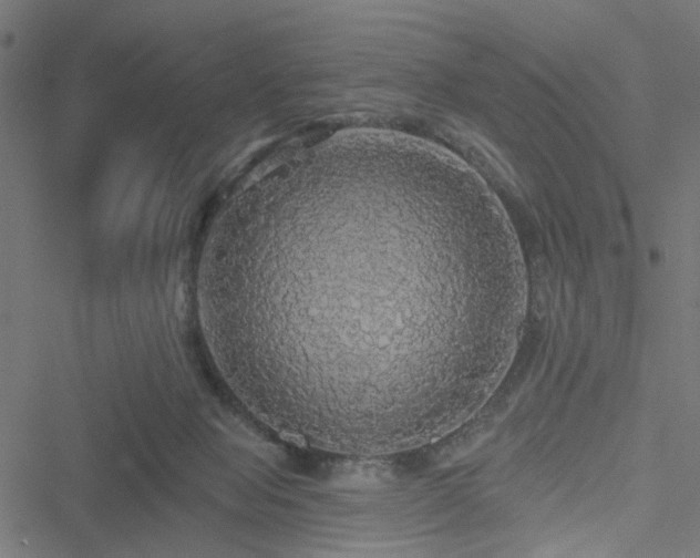 X0000051260077200506171212