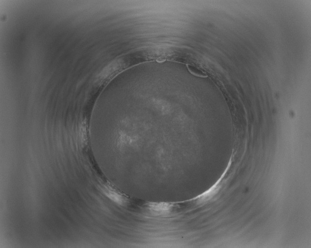 X0000051260144200506171211