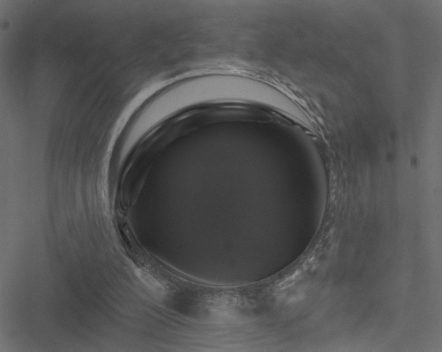 X0000051260200200506171210
