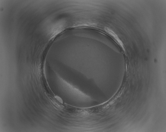 X0000051260249200506171208