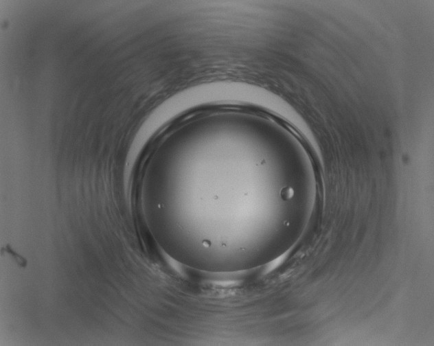 X0000051260276200506171209