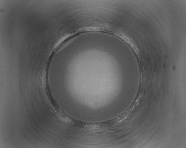 X0000051260297200506171208