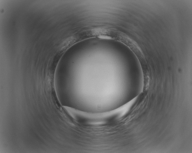 X0000051260329200506171208