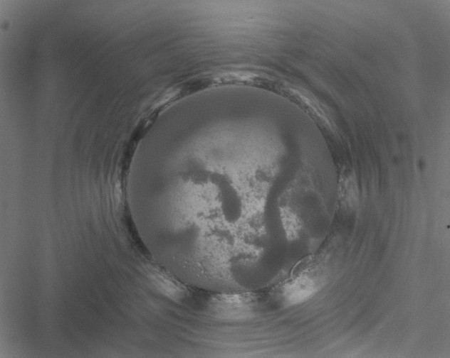 X0000051260381200506171207