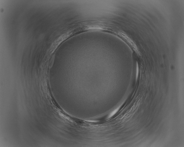 X0000051260385200506171207