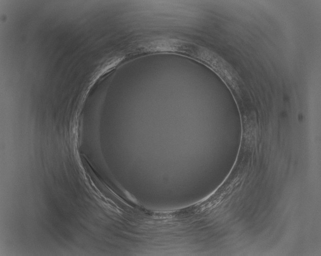 X0000051260386200506171207