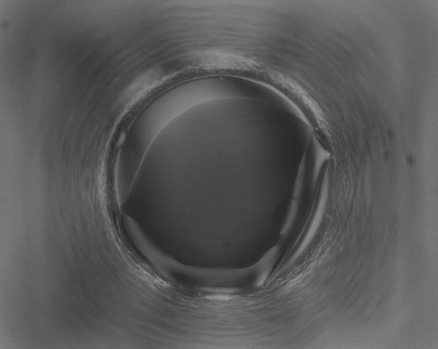 X0000051260391200506171207