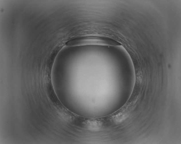 X0000051260464200506171206