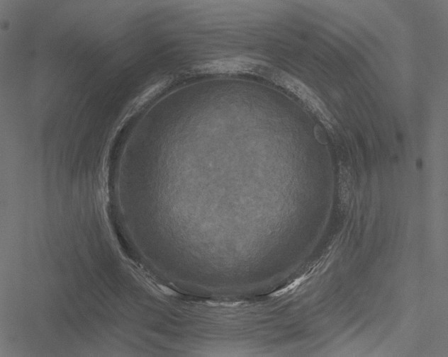 X0000051260486200506171205