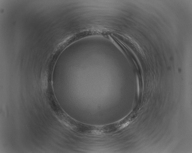 X0000051260496200506171205