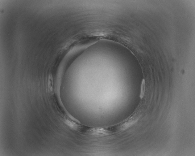 X0000051260528200506171204
