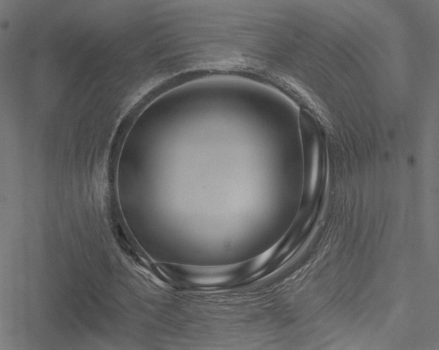 X0000051260532200506171204