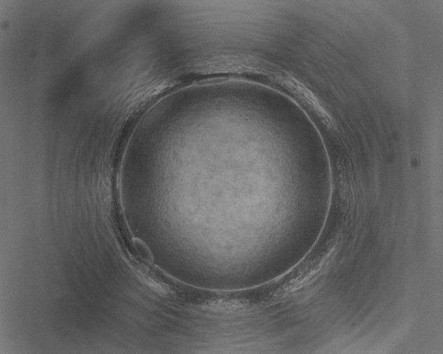 X0000051260537200506171204
