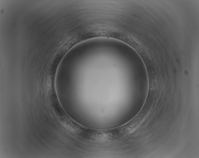 X0000051260646200506171202