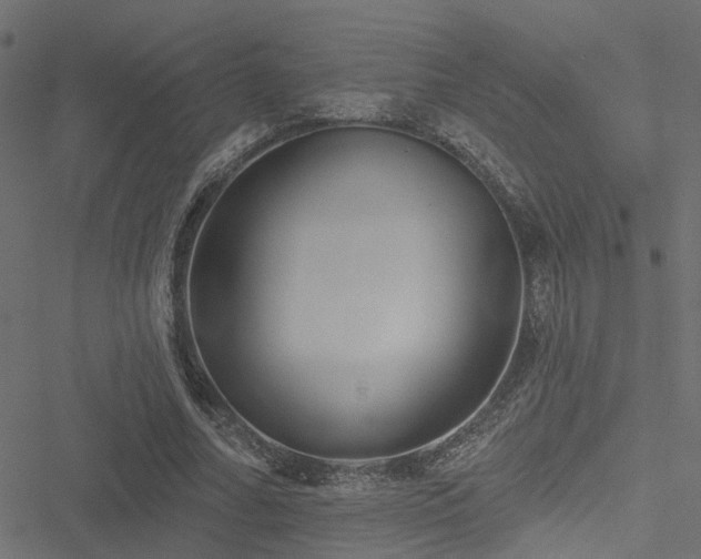 X0000051260682200506171201