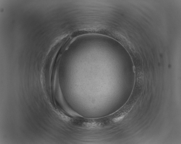 X0000051260688200506171201