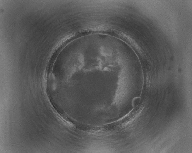 X0000051260725200506171200