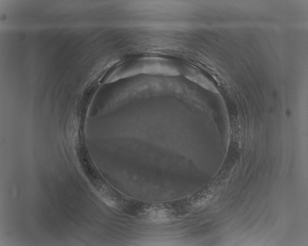 X0000051260742200506171200