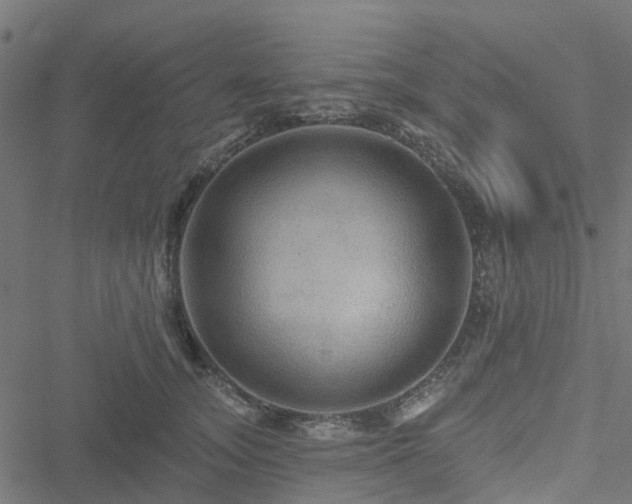 X0000051260755200506171201
