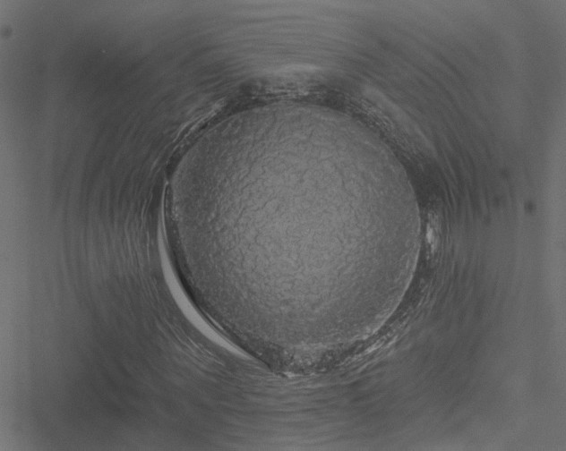 X0000051260867200506171158